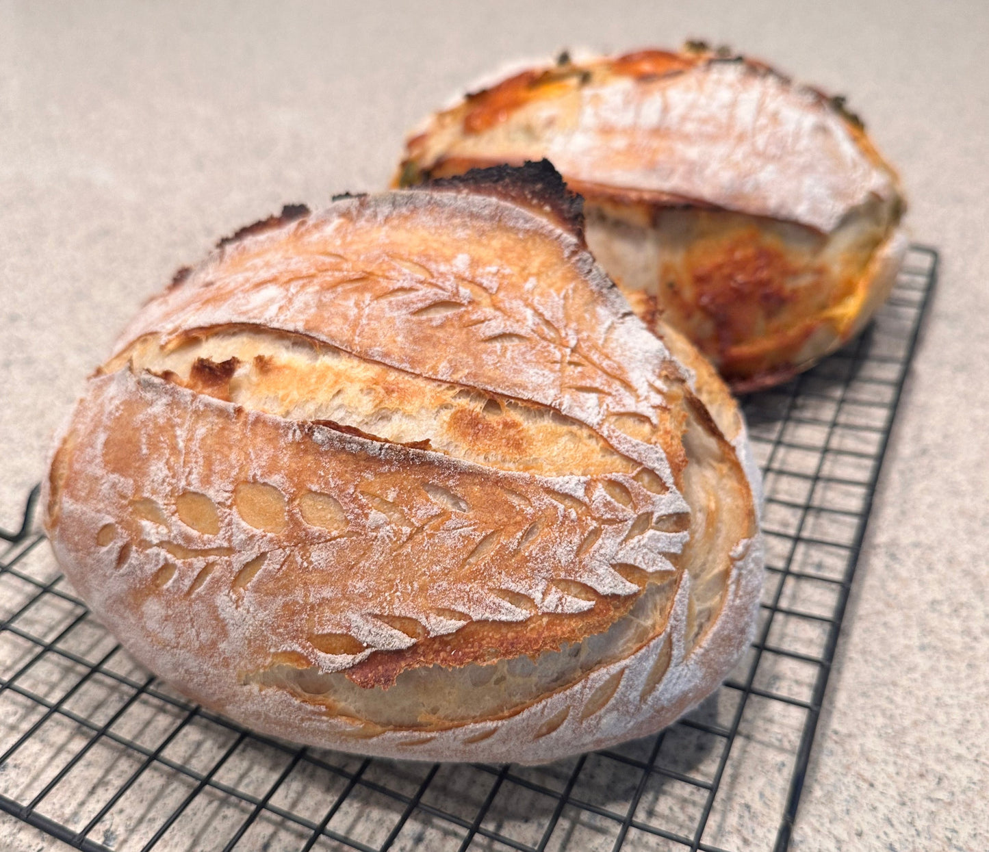 Sourdough Boulle Classic